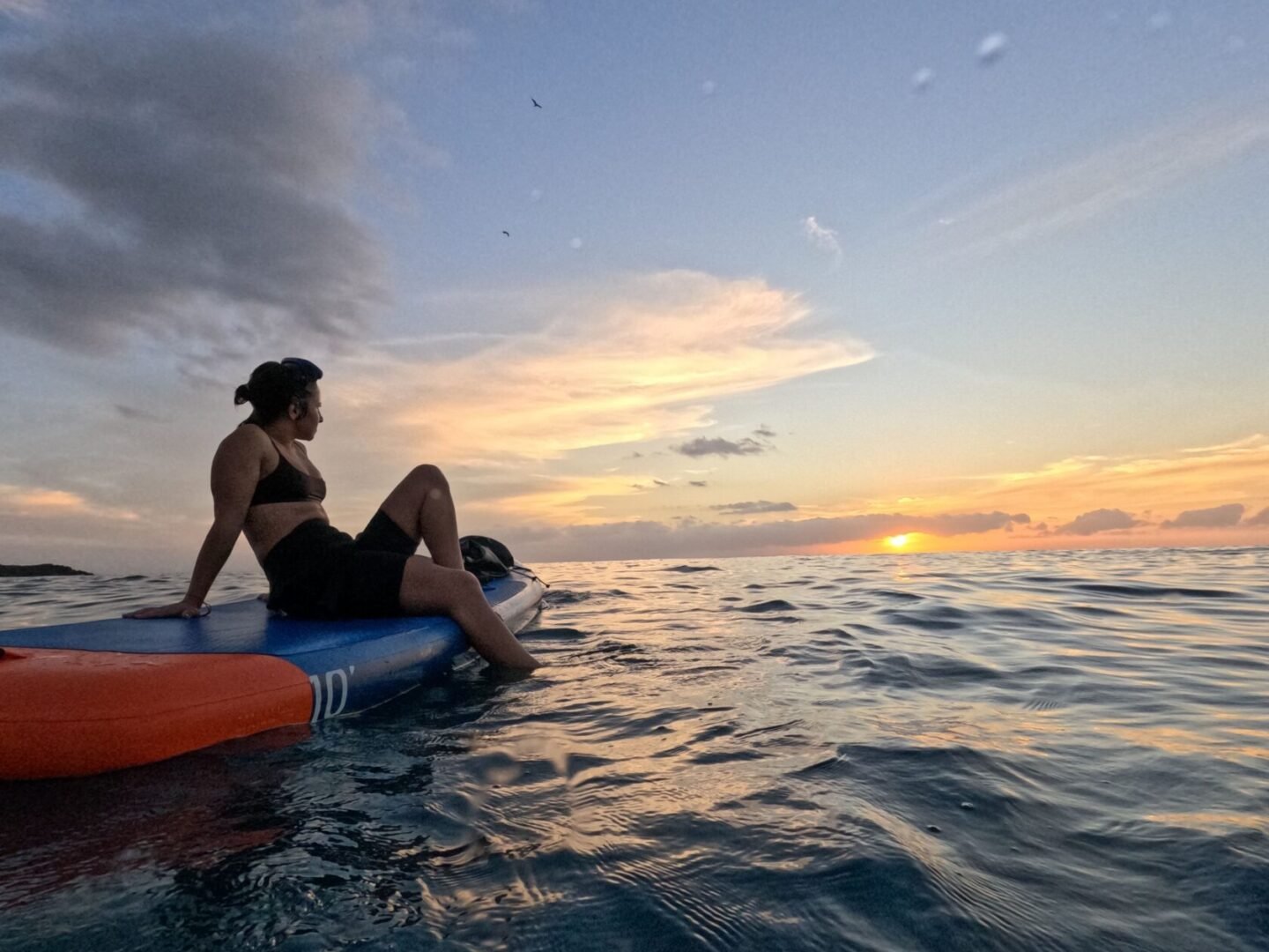 Persona seduta su una tavola da paddle surf in mare al tramonto