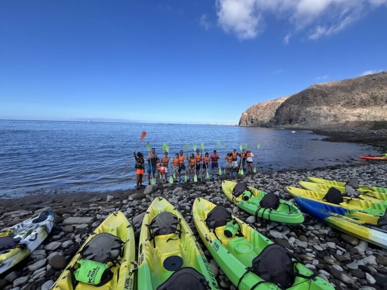 Kayaks en la playa de callaos de Palm-Mar, con un grupo levantando los remos junto a la orilla